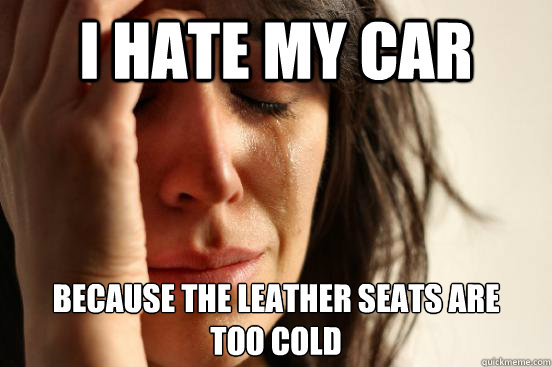 i hate my car because the leather seats are 
too cold  First World Problems