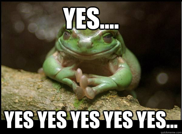 yes.... yes yes yes yes yes...  Evil Plotting Frog