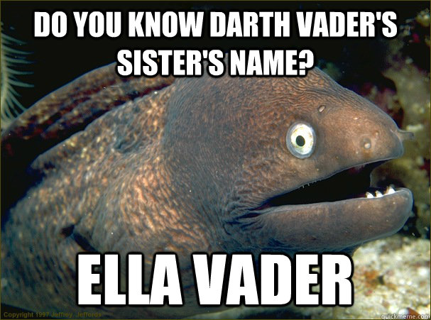 Do you know Darth Vader's sister's name? Ella Vader  Bad Joke Eel