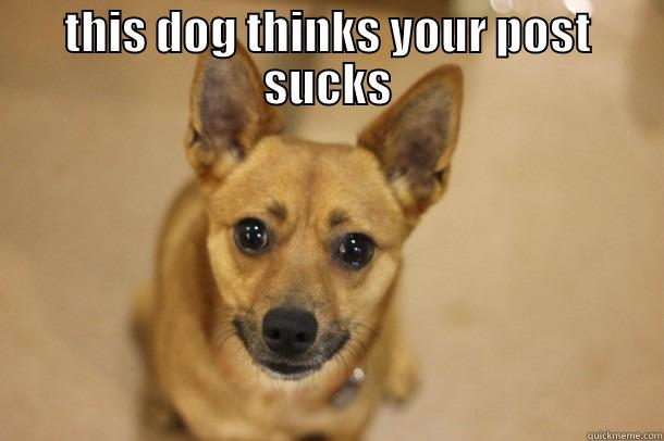 See this dog? - THIS DOG THINKS YOUR POST SUCKS  Misc