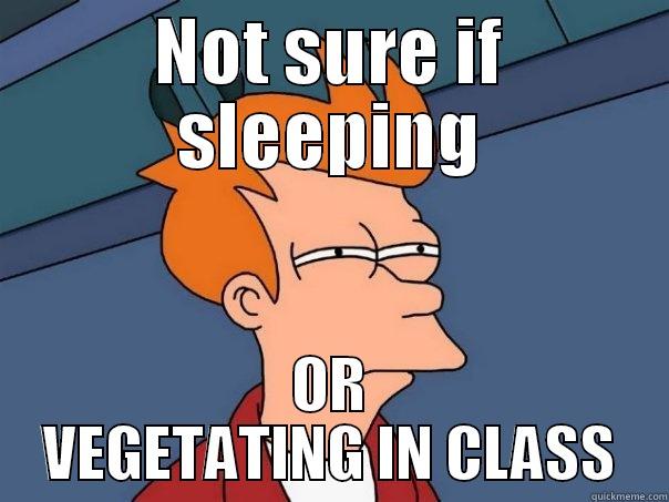 NOT SURE IF SLEEPING OR VEGETATING IN CLASS Futurama Fry