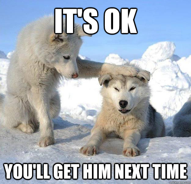 It's Ok you'll get him next time  Caring Husky