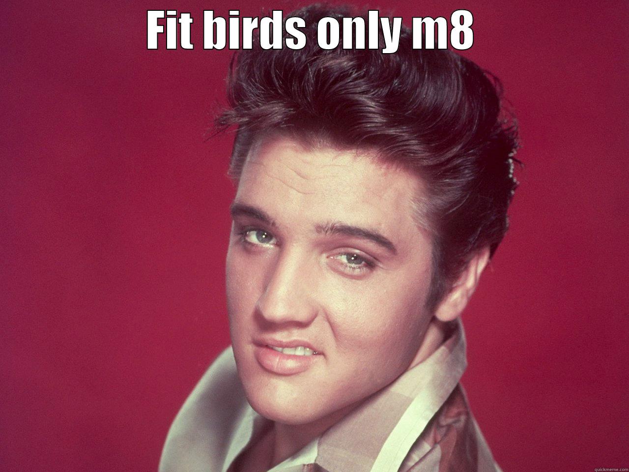 FIT BIRDS ONLY M8  Misc