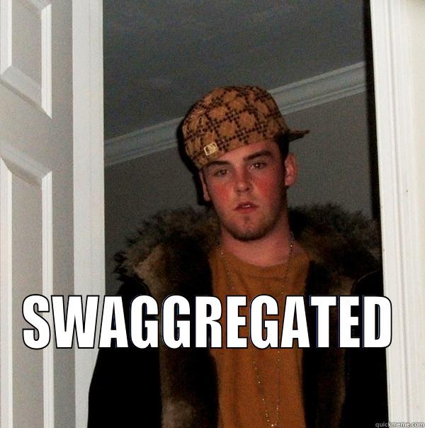  SWAGGREGATED Scumbag Steve