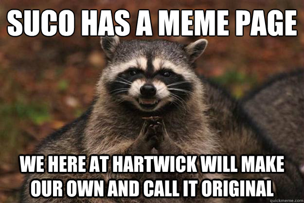 SUCO has a meme page we here at hartwick will make our own and call it original   Evil Plotting Raccoon