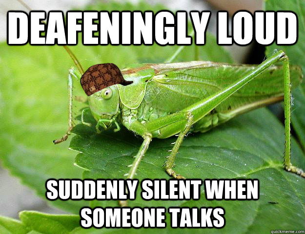 Deafeningly loud Suddenly silent when someone talks - Deafeningly loud Suddenly silent when someone talks  Scumbag Cricket