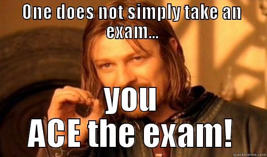 exam time - ONE DOES NOT SIMPLY TAKE AN EXAM... YOU ACE THE EXAM! Boromir