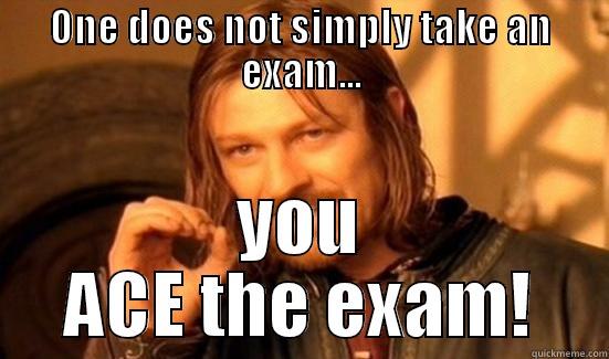 ONE DOES NOT SIMPLY TAKE AN EXAM... YOU ACE THE EXAM! Boromir