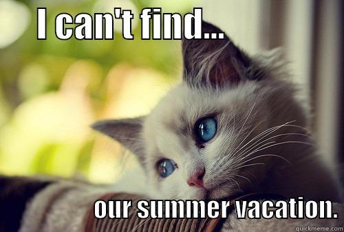      I CAN'T FIND...                                           OUR SUMMER VACATION. First World Problems Cat