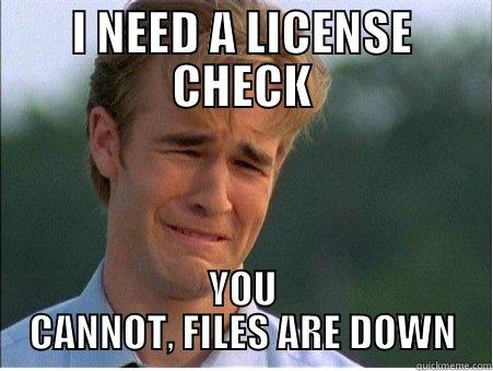 I NEED A LICENSE CHECK YOU CANNOT, FILES ARE DOWN 1990s Problems