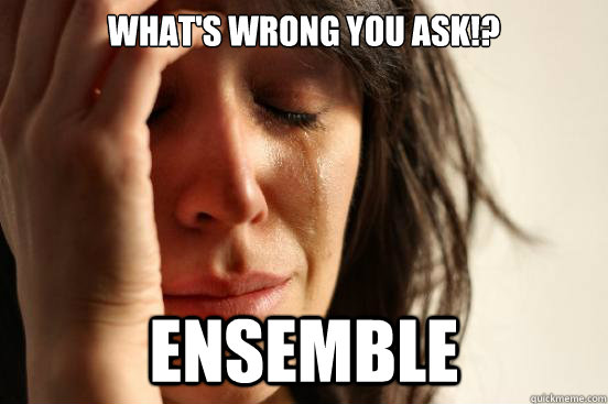 What's wrong you ask!? ENSEMBLE  First World Problems