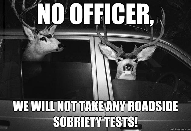 NO OFFICER, WE WILL NOT TAKE ANY ROADSIDE SOBRIETY TESTS! - NO OFFICER, WE WILL NOT TAKE ANY ROADSIDE SOBRIETY TESTS!  Mean deer