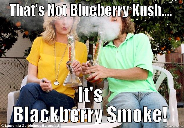 THAT'S NOT BLUEBERRY KUSH.... IT'S BLACKBERRY SMOKE! Misc