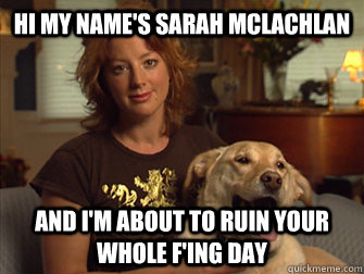 Hi my name's Sarah Mclachlan AND I'm about to ruin your whole F'ing day - Hi my name's Sarah Mclachlan AND I'm about to ruin your whole F'ing day  Sarah Mclachlan