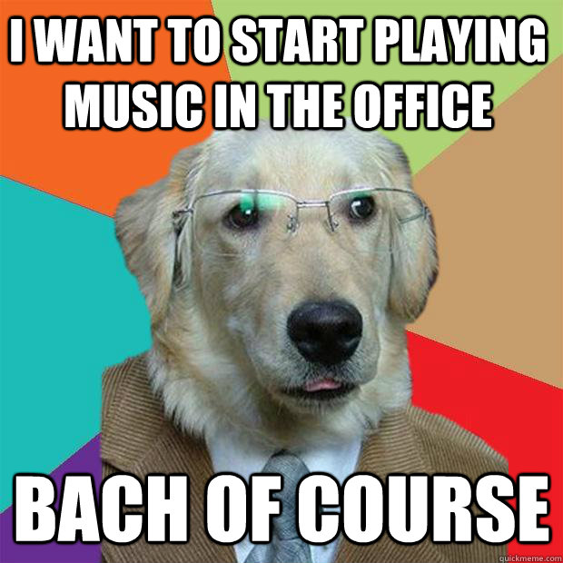 I want to start playing music in the office Bach of course - I want to start playing music in the office Bach of course  Business Dog