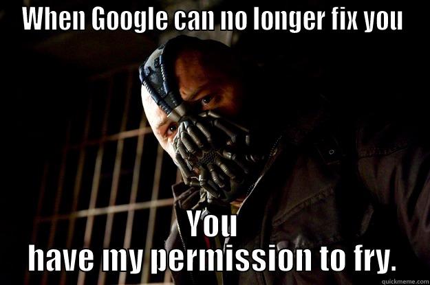 Permission to fry - WHEN GOOGLE CAN NO LONGER FIX YOU YOU HAVE MY PERMISSION TO FRY. Angry Bane