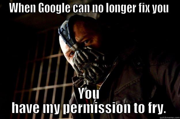 WHEN GOOGLE CAN NO LONGER FIX YOU YOU HAVE MY PERMISSION TO FRY. Angry Bane