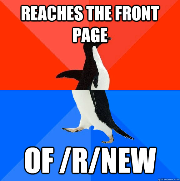 Reaches the front page of /r/new   Socially Awesome Awkward Penguin