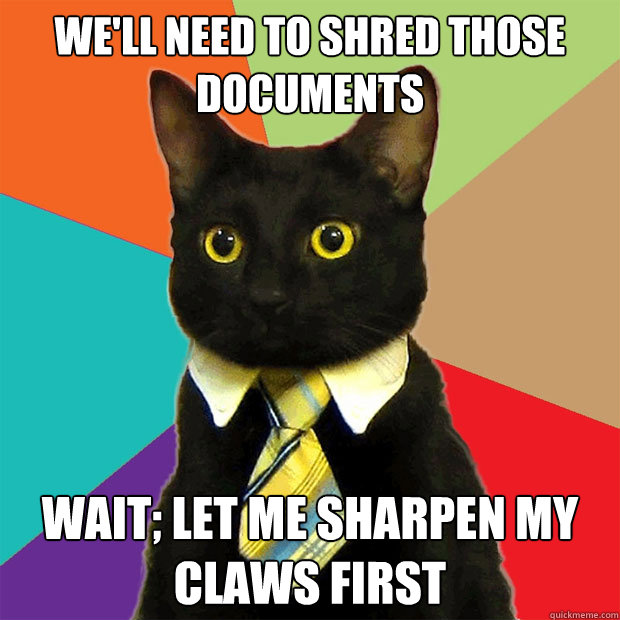 We'll need to shred those documents Wait; let me sharpen my claws first  Business Cat