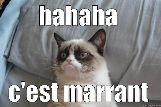 HAHAHA C'EST MARRANT Grumpy Cat