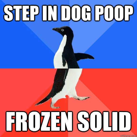 Step in dog poop Frozen solid  Socially Awkward Awesome Penguin