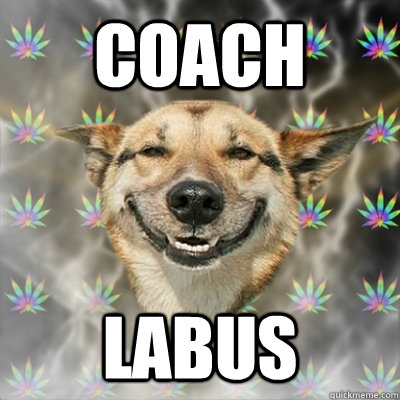 coach labus  Stoner Dog