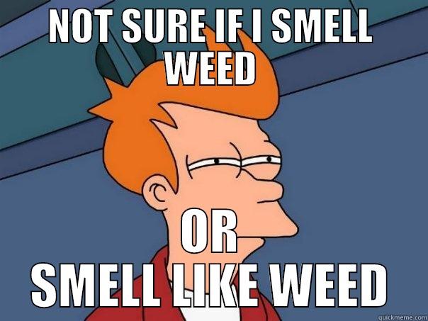 NOT SURE IF I SMELL WEED OR SMELL LIKE WEED Futurama Fry