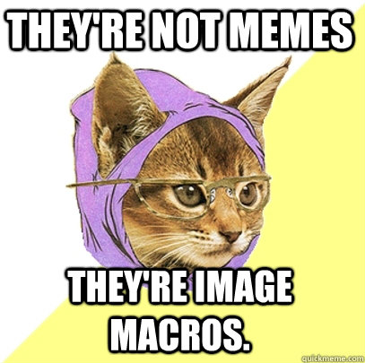 They're not memes they're image macros.   Hipster Kitty