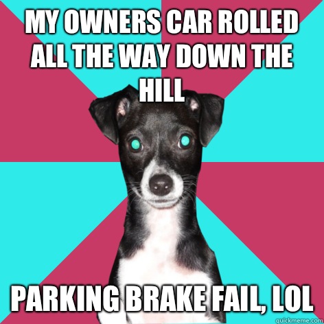 My owners car rolled all the way down the hill Parking brake fail, lol  Dickhead Dog