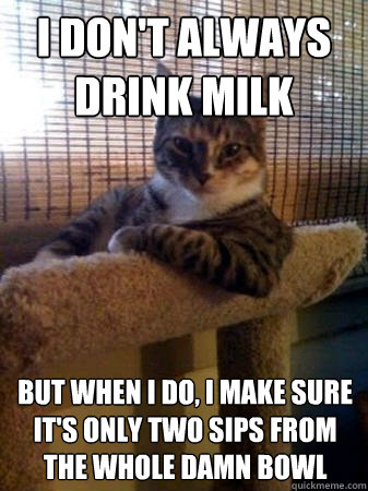 I don't always drink milk but when I do, I make sure it's only two sips from the whole damn bowl  The Most Interesting Cat in the World