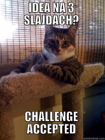 IDEA NA 3 SLAJDACH? CHALLENGE ACCEPTED The Most Interesting Cat in the World