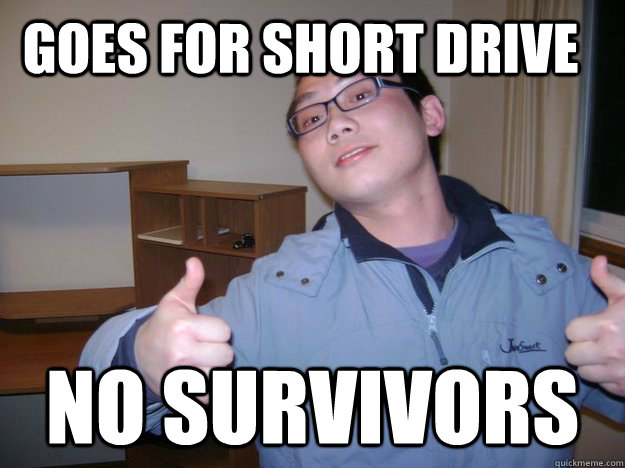 GOES FOR SHORT DRIVE NO SURVIVORS  