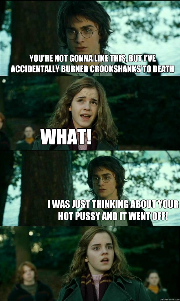 You're not gonna like this, but i've accidentally burned crookshanks to death What! I was just thinking about your hot pussy and it went off!  Horny Harry