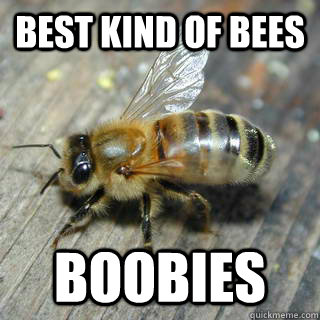 Best kind of bees Boobies   Hivemind bee