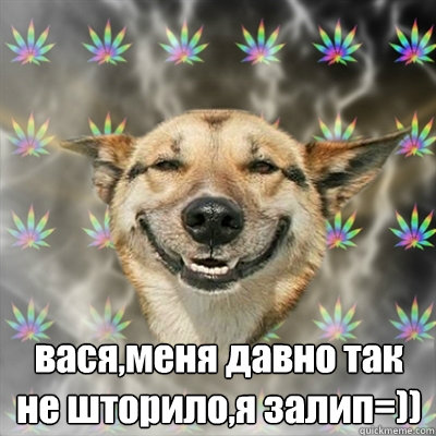 вася,меня давно так не шторило,я залип=))  Stoner Dog