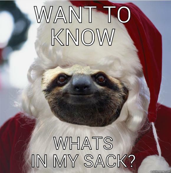 WANT TO KNOW WHATS IN MY SACK? Misc