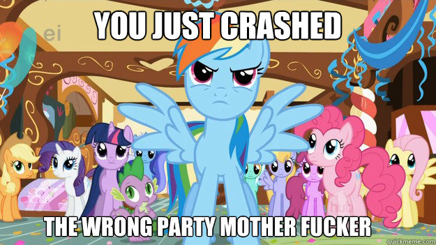 You just crashed the wrong party mother fucker  Rainbow Dash