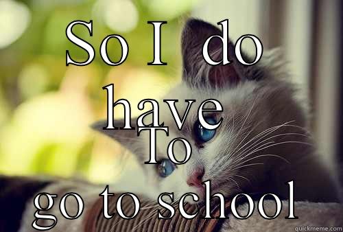 School days - SO I  DO HAVE TO GO TO SCHOOL First World Problems Cat