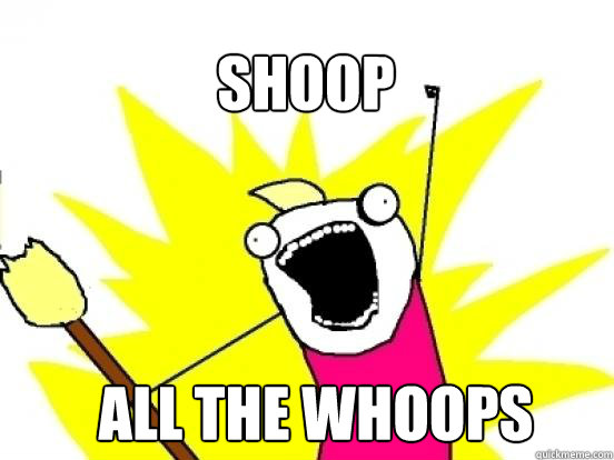 Shoop  ALL the Whoops  X All The Things