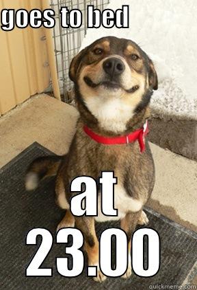 GOES TO BED                                                              AT 23.00 Good Dog Greg