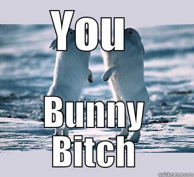 High Five Brenda - YOU  BUNNY BITCH Bunny Bros