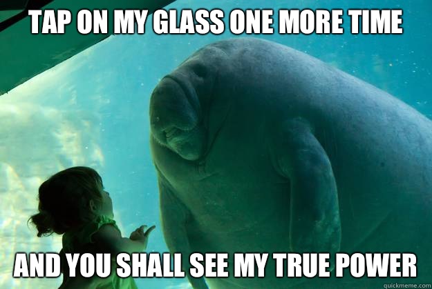 Tap on my glass one more time
 And you shall see my true power  Overlord Manatee