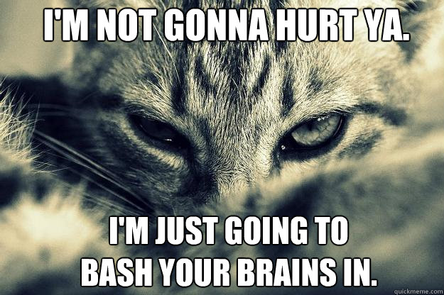 I'm not gonna hurt ya. I'm just going to bash your brains in.  Evil Cat