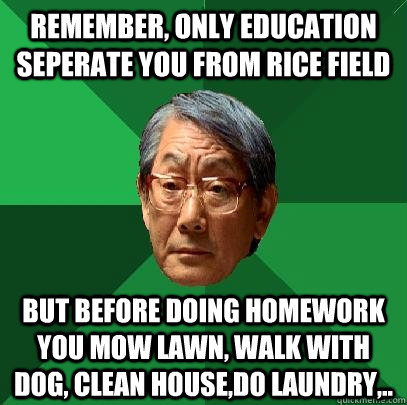 remember, only education seperate you from rice field but before doing homework you mow lawn, walk with dog, clean house,do laundry,..  High Expectations Asian Father