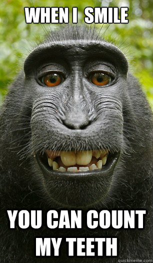 When i  smile You can count my teeth  Mindful Macaque