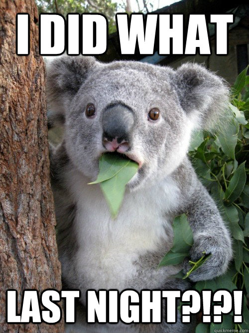 I Did what last night?!?!  koala bear