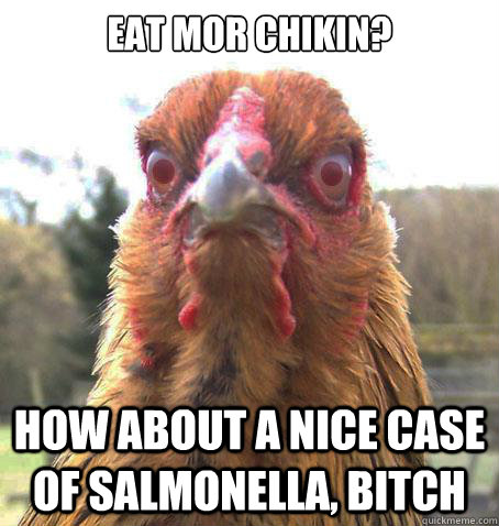 eat mor chikin? how about a nice case of salmonella, bitch  RageChicken