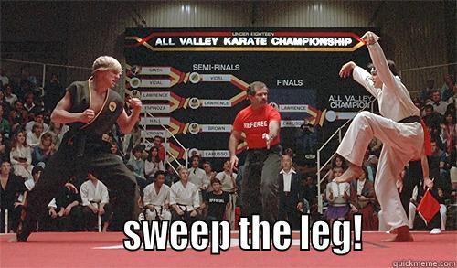                SWEEP THE LEG!          Misc