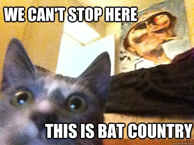 we can't stop here this is bat country - we can't stop here this is bat country  Fear & Loathing kitty
