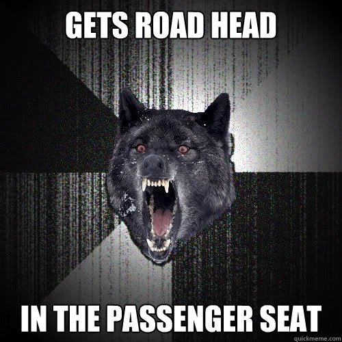 gets road head in the passenger seat  insanitywolf